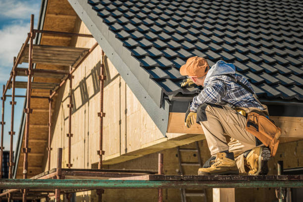 Best Roof Coating and Sealing  in Carpentersvle, IL