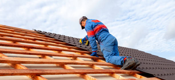 Best Skylight Installation and Repair  in Carpentersvle, IL